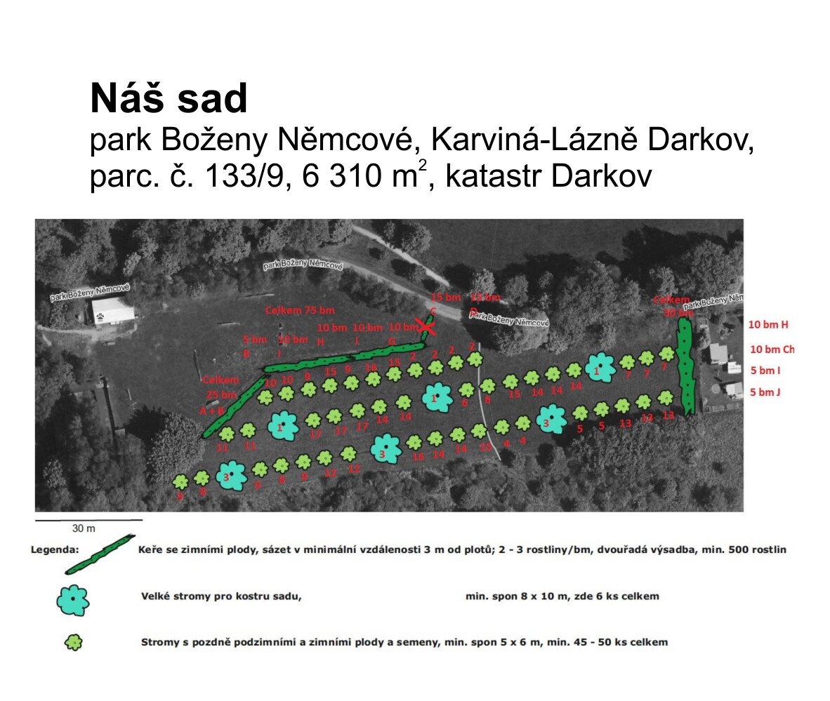 Náš sad - zákres sadby.jpg